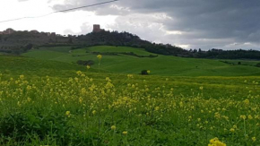 La Casa del susino Castiglione D'orcia